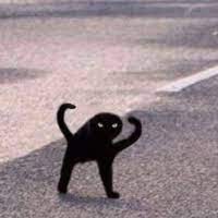 Создать мем: черный кот мем, ъуъ оригинал черный кот, черный кот ъуъ