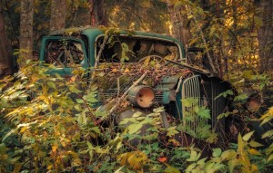 Создать мем: авто в лесу, брошенные машины в лесу, заброшенные машины