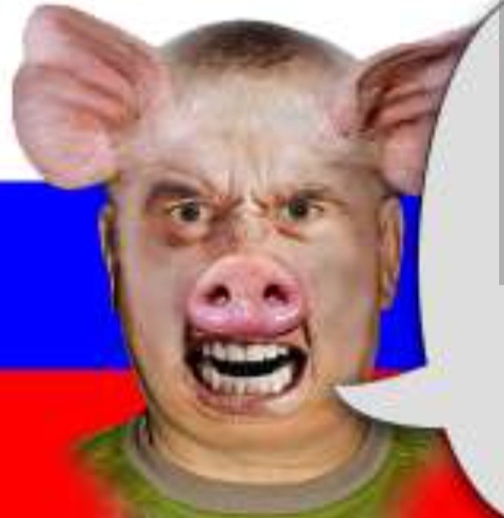 Create meme: russia is a pig, pig , boy 