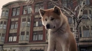 Create meme: Hachiko: the Most loyal friend, Hachiko waits pictures, Hachiko a loyal friend