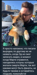 Create meme: dog Shiba, screenshot, dog Shiba inu