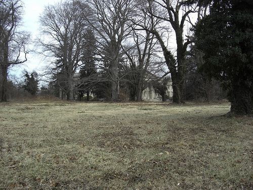 Создать мем: wikimedia, road, through the trees