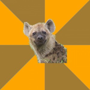 Create meme: hyena, hyena