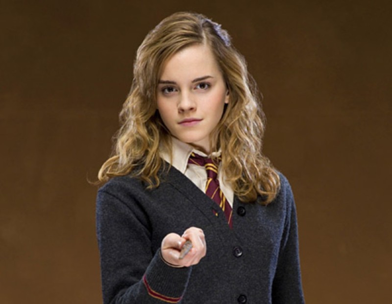 Create meme: hermione granger, Harry Potter and Hermione Granger, harry potter hermione