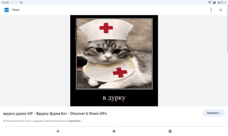 Create meme: cat nurse, cat , Happy Medical worker's Day cat
