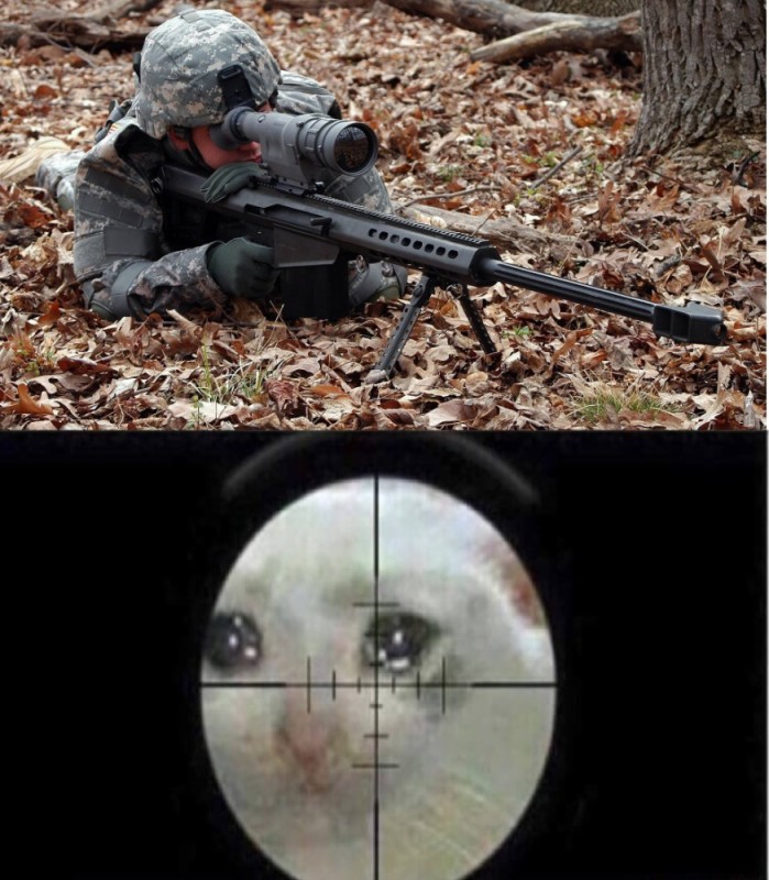 Create meme: large-caliber sniper rifle , sniper rifle , barrett M107A1 sniper rifle