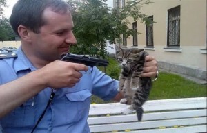 Create meme: cat with gun meme template, cats by the FSB, male