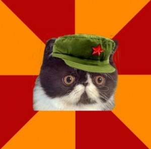 Create meme: communist, cat meme, Communist Cat