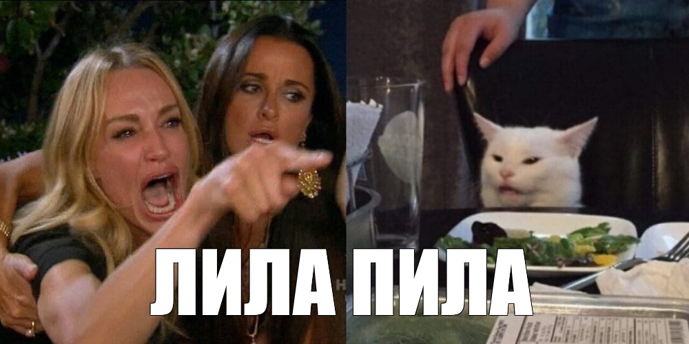 Льет пьет растет. Женщина орёт на кота Мем 2019. Мем с котом за столом. Белый кот и две женщины Мем guess. Мем кот и женщина кричит.