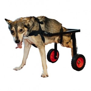 Создать мем: инвалидная коляска для собак walkin wheels, инвалидная коляска для больших собак, тележка для собаки инвалида