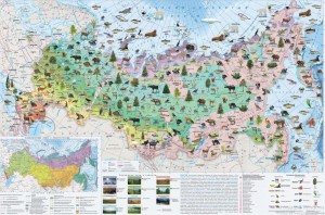 Создать мем: природные зоны, россия природные зоны, карта животных мира