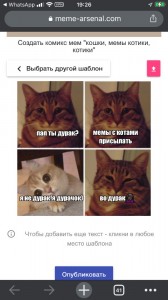 Создать мем: кот мем, мем котик, котики котики