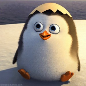 Создать мем: penguen, мадагаскар, пингвиненок