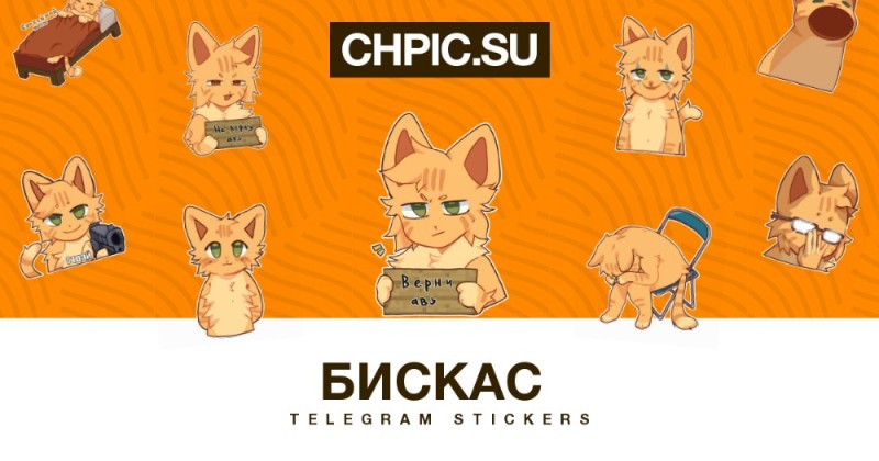Создать мем: коты, стикер телеграм, котик