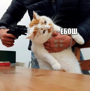 Создать мем: кот с пистолетом, мем ебош, кот с пистолетом мем