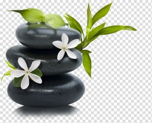 Создать мем: камни спа, растение, 600×464