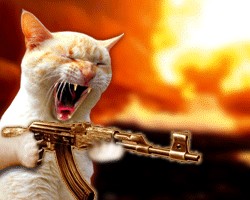 Создать мем: кот стреляет из автомата, Кошка, коты