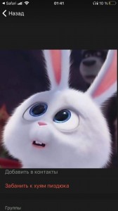 Создать мем: кролик, снежок кролик из мультика тайная жизнь домашних животных, кролик снежок тайная жизнь домашних животных 1