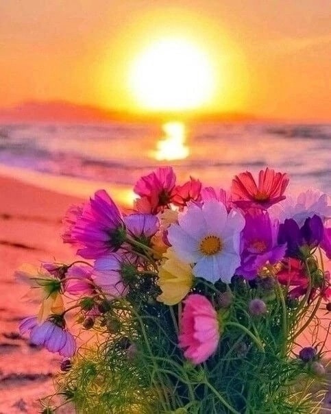 Create meme: good morning summer, a warm summer evening, flowers sea sun