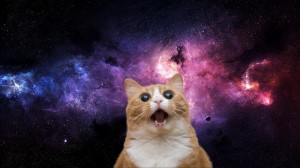 Create meme: the background of the cosmos, space cat, cat in space