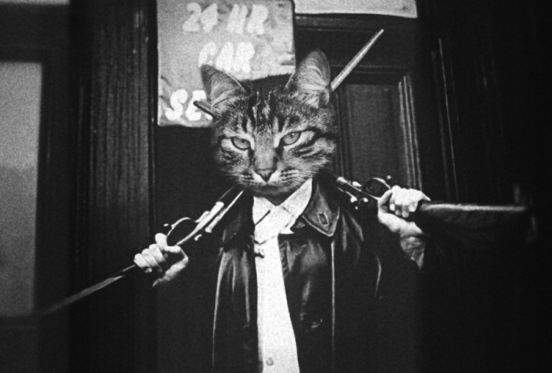 Create meme: thug cat , the man with the cat's head, cat with a cigar