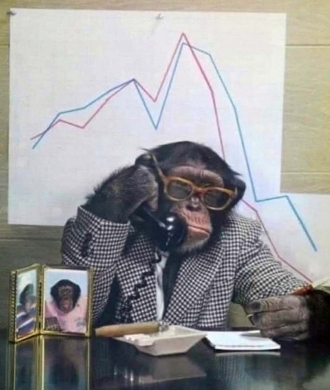 Создать мем: человек, обезьяна банкир, смешные шимпанзе