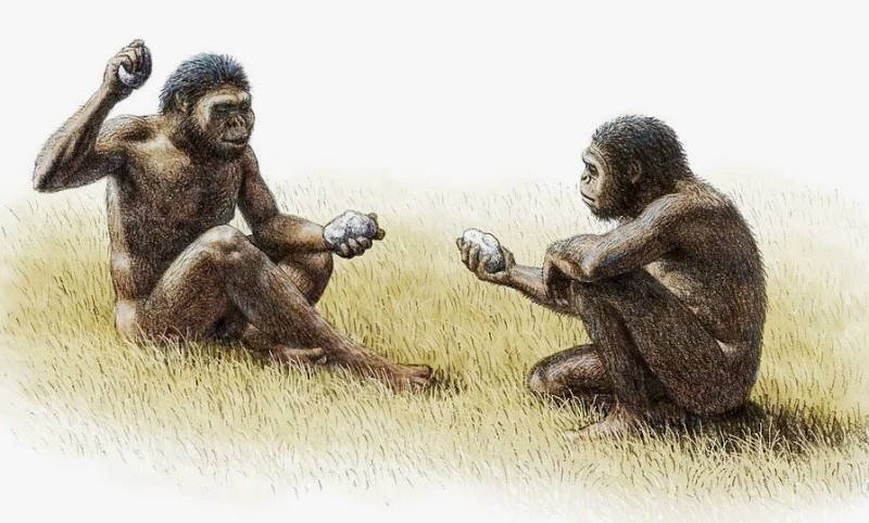 Create meme: ancient man, Australopithecus the Neanderthal Pithecanthropus, Homo habilis