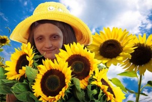 Create meme: sunflower flower, sunflower