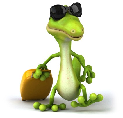 Create meme: green gecko, play bubble kvass, lizard 