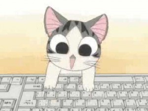 Create meme: Kitty is sitting at the computer 