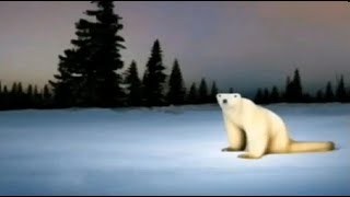 Создать мем: медведь, день белого медведя, арктика белый медведь