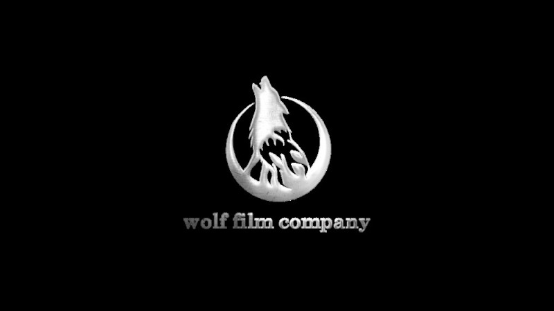 Create meme: white wolf emblem, night wolves logo, the emblem of the wolf