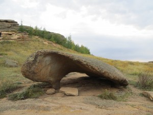 Создать мем: каменный тюлень, причуды природы фото, камень