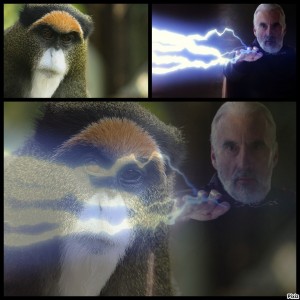 Create meme: count Dooku star wars memes, count Dooku GIF, count Dooku is sleeping