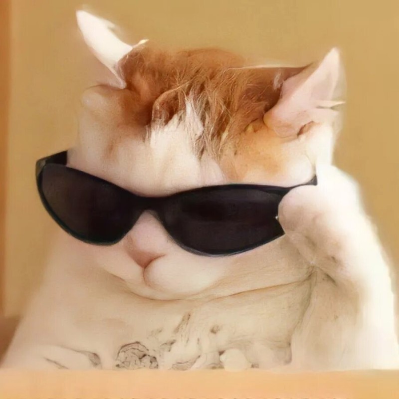 Create meme: cat meme , cat with sunglasses meme, cats with glasses