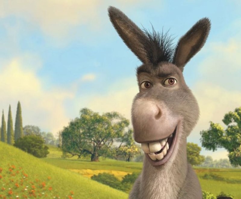 Create meme: Shrek donkey, donkey , donkey shrek