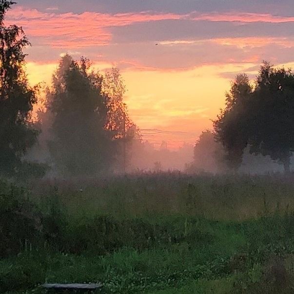 Create meme: morning landscape, morning sunrise, morning fog 