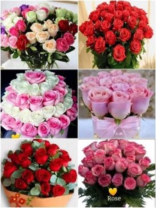 Create meme: a bouquet of roses, beautiful bouquet, a huge bouquet of roses