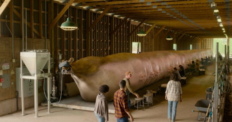 Создать мем: калининградский гигантский кальмар, кот, самый большой кальмар в мире