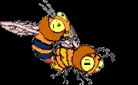 Create meme: the honey bee, bee, bee