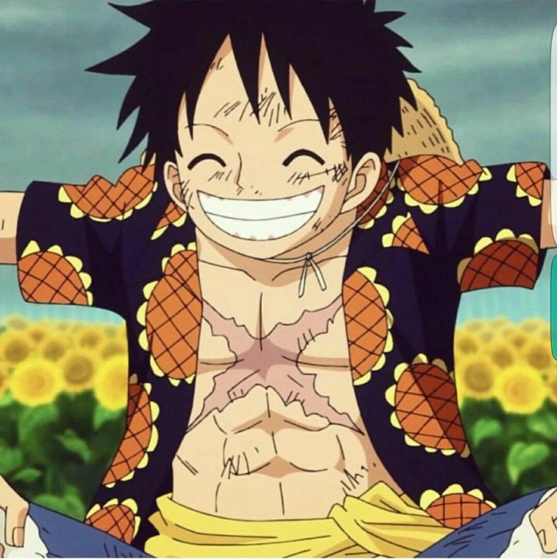 Создать мем: ван-пис, luffy, one piece luffy