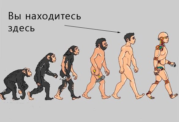 Create meme: human evolution , Human evolution is a joke, caricature of human evolution by khairullo