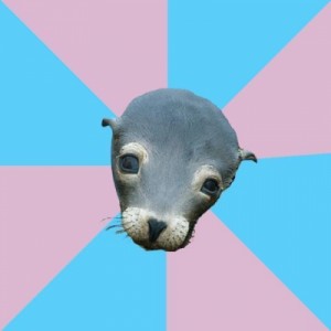 Создать мем: Trans* Supportive Sea Lion, seal, sea lion