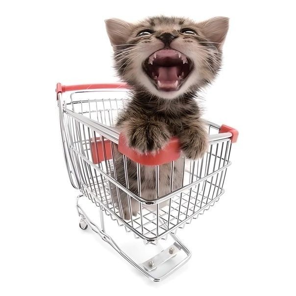 Create meme: kitty basket, basket funny cat, cat with a cart