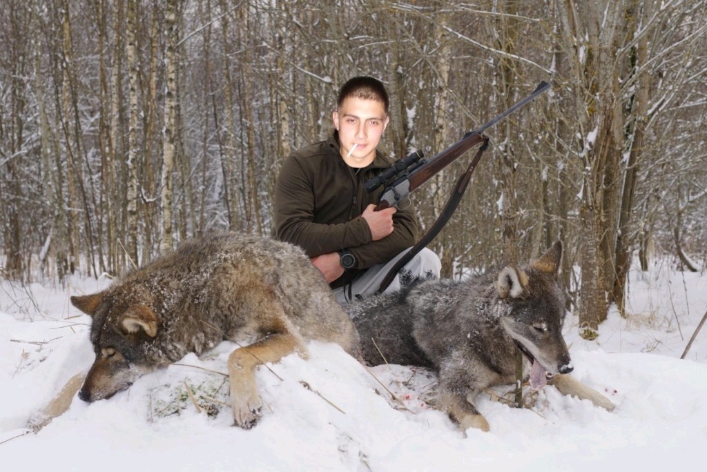 Wolf hunters. Волк охотиться на охотника.