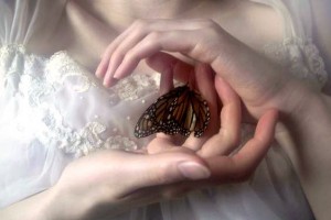 Создать мем: крылья бабочки, бабочки нежность эстетика, крылья бабочки монарх