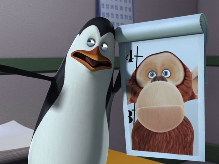 Create meme: Skipper Kowalski private and Rico, the penguins of Madagascar , the penguins of Madagascar 