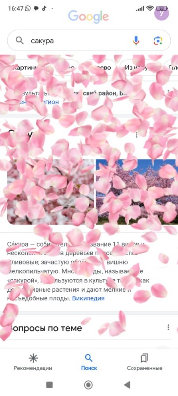 Create meme: rose petals, rose petals, petals background