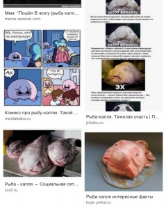 Создать мем: рыба капля интересные факты, рыба капля презентация, рыба-капля (psychrolutes marcidus)