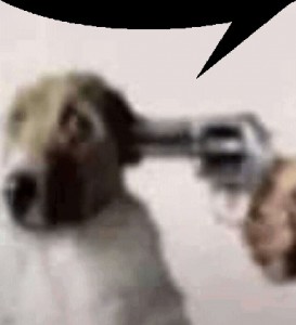 Create meme: cat, a dog with a gun